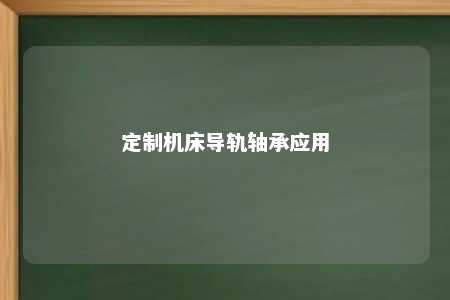 定制机床导轨轴承应用 