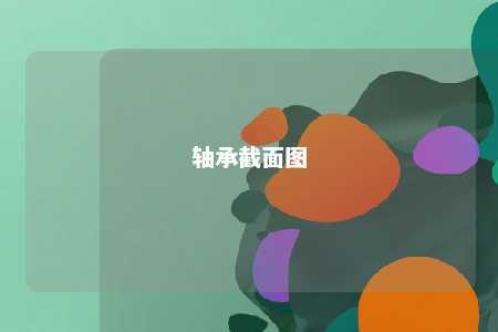轴承截面图 